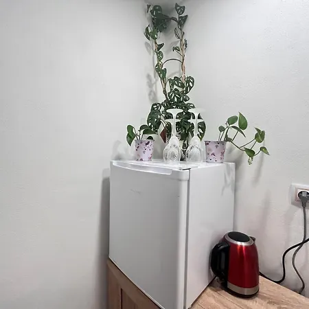 Apartamento Monstera Ii - Economy *