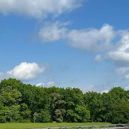 Monstera Ii - Economy