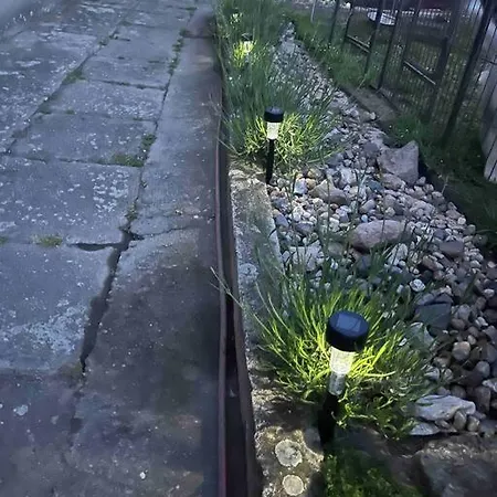 Monstera Ii - Economy Kolín