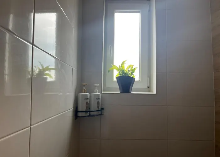 Apartment Monstera Ii - Economy