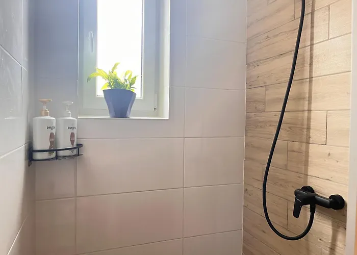 Monstera Ii - Economy Apartment