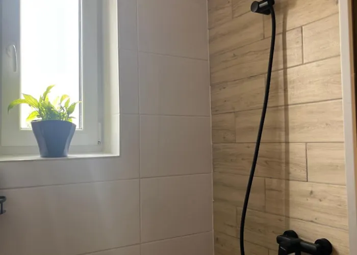 Monstera Ii - Economy * Kolín