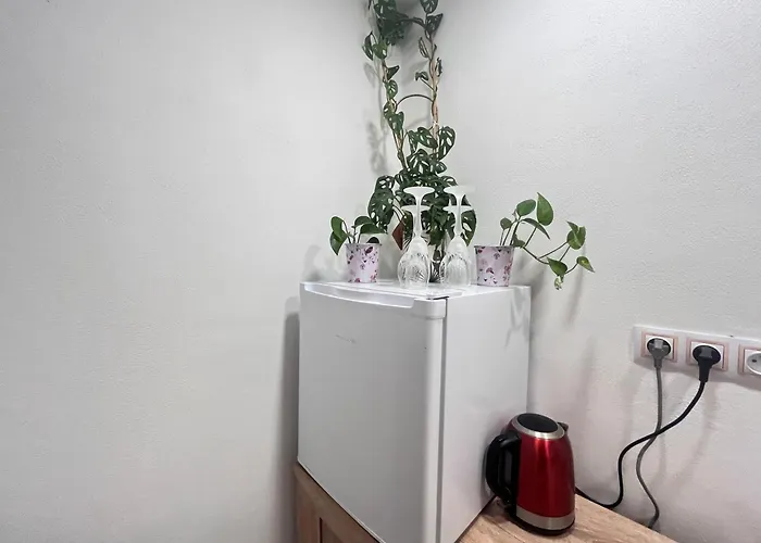 Apartment Monstera Ii - Economy *