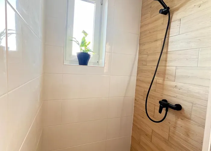 Monstera Ii - Economy Apartment