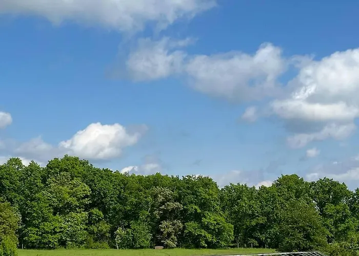 Monstera Ii - Economy