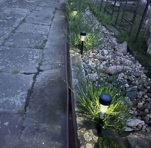 Monstera Ii - Economy Kolín