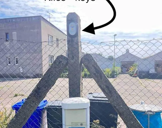 Monstera Ii - Economy *